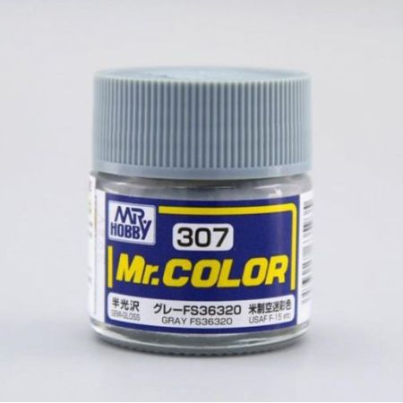 C-307 - Mr. Color (10 ml) Gray FS36320
