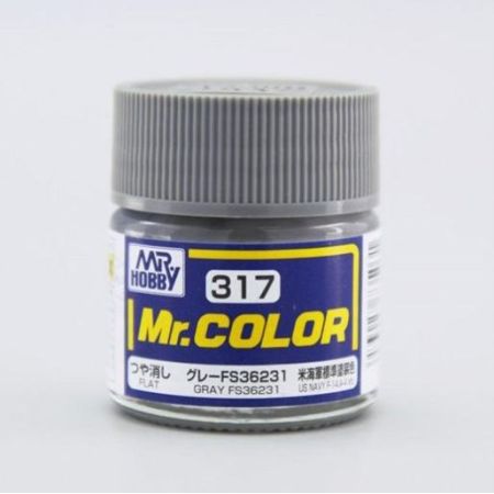 C-317 - Mr. Color (10 ml) Gray FS36231