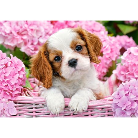 PUP IN PINK FLOWERS PUZZLE 500 PIECES