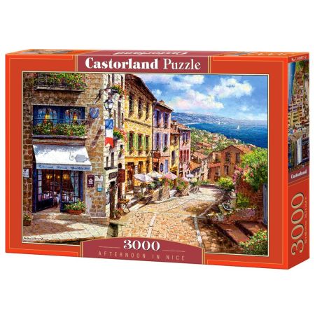 Castorland C-104079-2 Puzzle 1000 Teile Neu Doorway Room View 