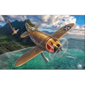 Granville P-45B Bee Killer (What if..?) 1/48