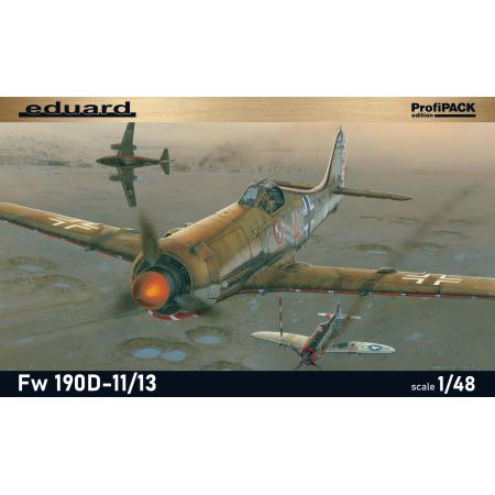 German WWII fighter plane Fw 190 D-11/ D-13 1/48