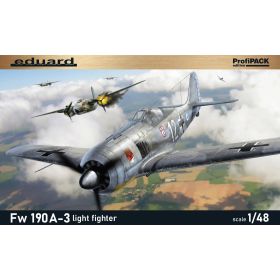Fw 190A-3 light fighter 1/48
