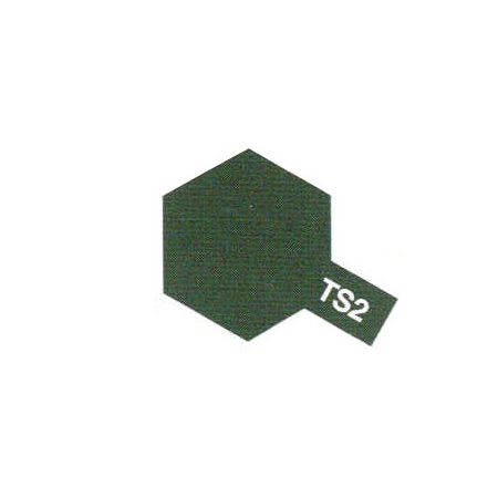 TS2 Vert foncé mat