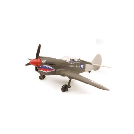 P-40 WWII Sky Pilot Model Kit 1/48