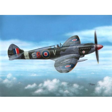 Spitfire F Mk.21 (Post Service) 1/72
