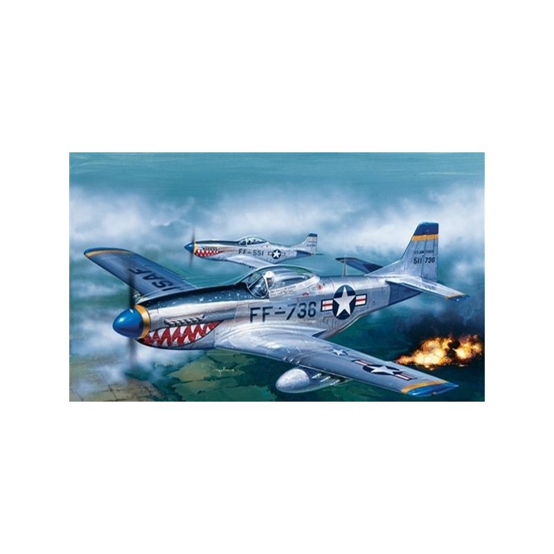 P - 51D Mustang 1/72
